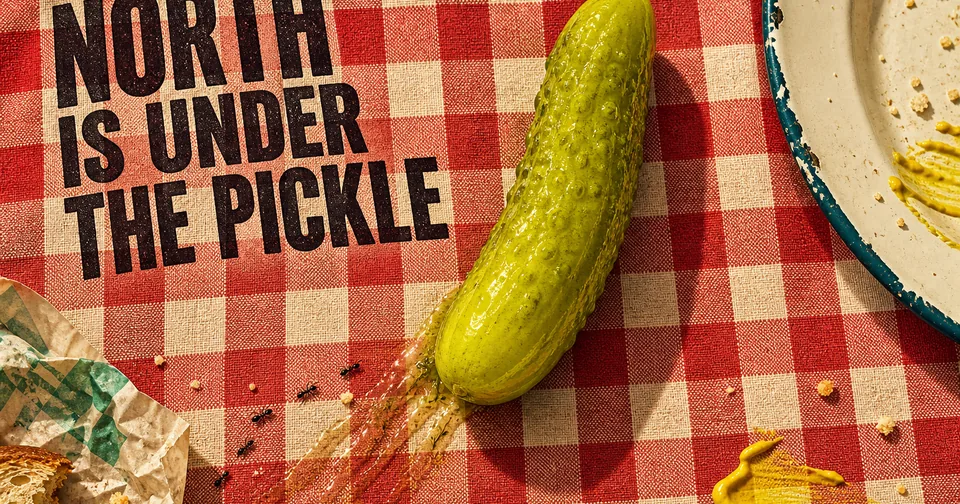 North Is Under the Pickle — Random Daily App