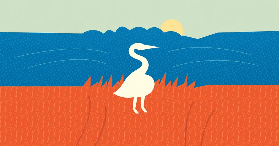 TWO HORIZONS — a landscape in alignment